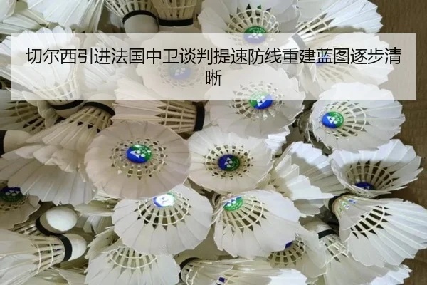 切尔西引进法国中卫谈判提速防线重建蓝图逐步清晰
