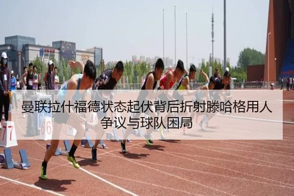 img_1780159724565_419_1_361.jpg