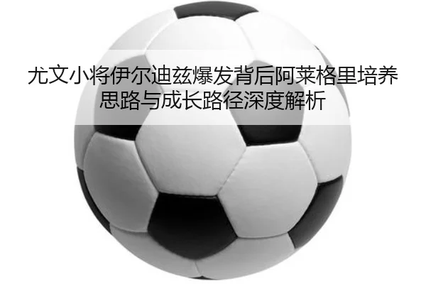 img_1781016884608_3702_1_524.jpg