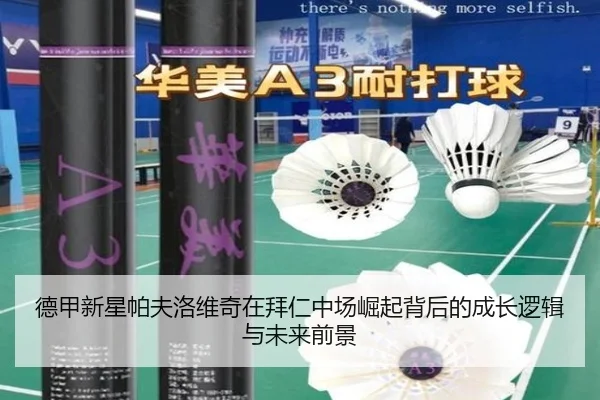 德甲新星帕夫洛维奇在拜仁中场崛起背后的成长逻辑与未来前景