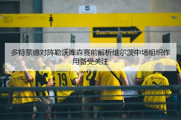 多特蒙德对阵勒沃库森赛前解析维尔茨中场组织作用备受关注